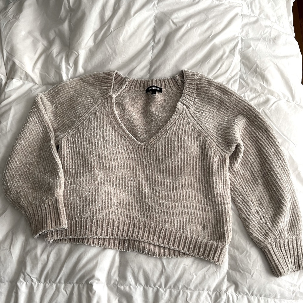 Express V-neck long sleeve sweater